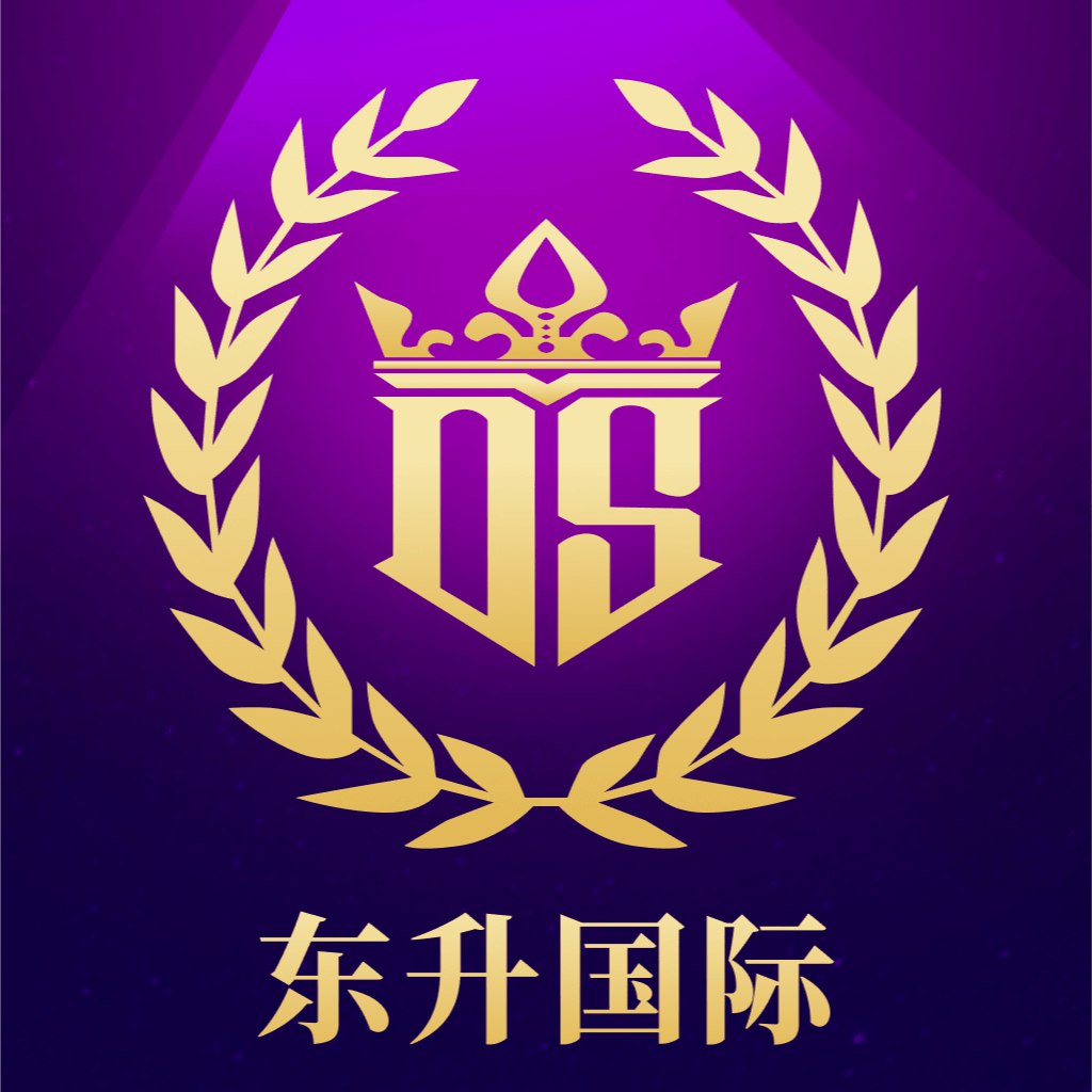 东升国际